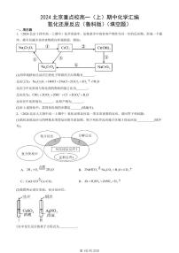 2024北京重点校高一（上）期中真题化学汇编：氧化还原反应（鲁科版）（填空题）