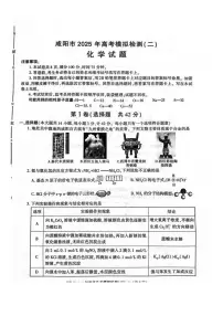 化学丨陕西省咸阳市2025届高三下学期3月第二次模拟化学试卷及答案