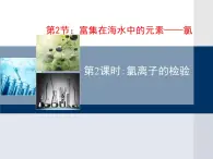 人教版 (新課標(biāo))高中化學(xué)必修1 4-2第二課時(shí)《氯離子的檢驗(yàn)》教學(xué)課件