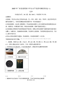 广东省2025届高三下学期第一次调研考试化学试卷（Word版附解析）