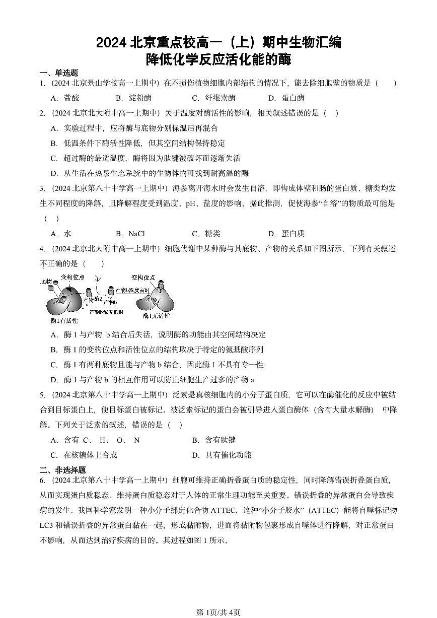 2024北京重点校高一(上)期中真题生物汇编:降低化学反应活化能的酶第1页