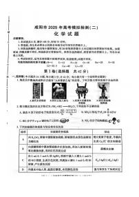 2025届陕西省咸阳市高三二模化学试题（含答案）