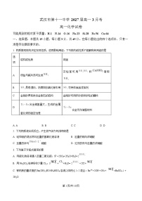 湖北省武汉市第十一中学2024-2025学年高一下学期3月月考化学试卷