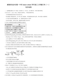2024届湖南省长沙市一中高三月考卷（一）-化学试题（含答案）