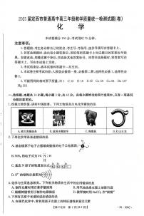 甘肃省定西市2024-2025学年高三上学期1月期末考试化学试卷（含答案）