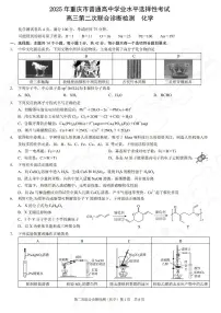 重庆(康德二诊)高2025届高三下学期4月第二次联合诊断检测化学试题及答案
