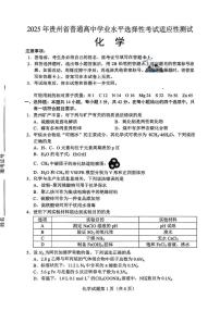 2025届贵州省高三统测4月适应性考试化学试题（含答案）