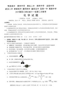 2025届高三湖北省十一校第二次联考 化学试卷（含答案）