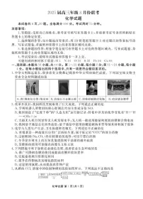 广东省衡水金卷2025届高三3月大联考化学试卷（含答案）