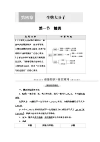 人教版 (2019)选择性必修3糖类导学案及答案