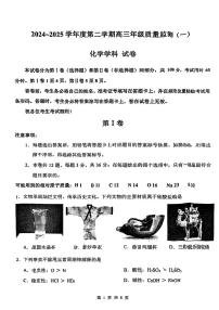 天津市南开区2024-2025学年度第二学期高三年级质量监测(一)化学及答案