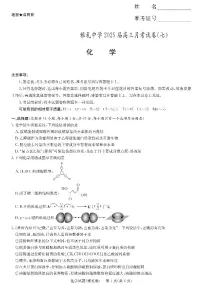 湖南省长沙市雅礼中学2024-2025学年高三下学期月考卷（七）化学及答案