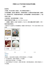 2025年1月河南省普通高等学校招生考试适应性测试(八省联考)化学试题 Word版含解析