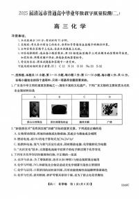 2025届广东省清远市高三二模化学试卷（含答案）