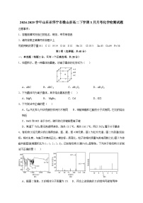 2024-2025学年山东省济宁市微山县高二下学期3月月考化学检测试题（含答案）