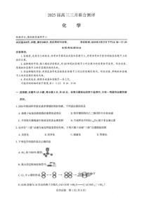 2025届湖北圆创联盟高三3月联考 化学试卷（含答案）