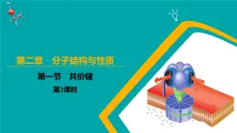 高中化學(xué)人教版2019選擇性必修22.1 共價鍵 第2課時（課件）
