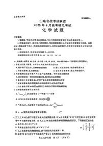 山东名校考试联盟2025届高三高考模拟模拟检测-化学试题+答案
