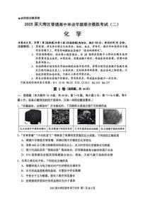 广东省大湾区2025届普通高中毕业年级联合模拟考试（二）化学试卷（含答案）