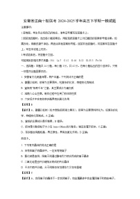 安徽省江南十校联考2024-2025学年高三下学期一模化学试卷（解析版）