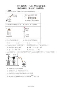 2025北京高一（上）期末真题化学汇编：铁的多样性（鲁科版）（选择题）