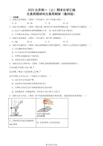 2025北京高一（上）期末真题化学汇编：元素周期律和元素周期律（鲁科版）