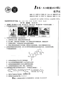 A10联盟2024届高三4月份质量检测考试 化学试卷（含答案）