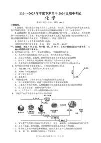 四川省成都市蓉城名校联盟2024-2025学年高一下学期期中考试化学试卷（ PDF版，含答案）
