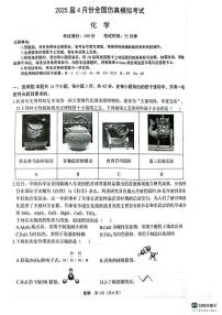 2025届高三下学期4月全国仿真模拟考试化学试卷（PDF版附解析）