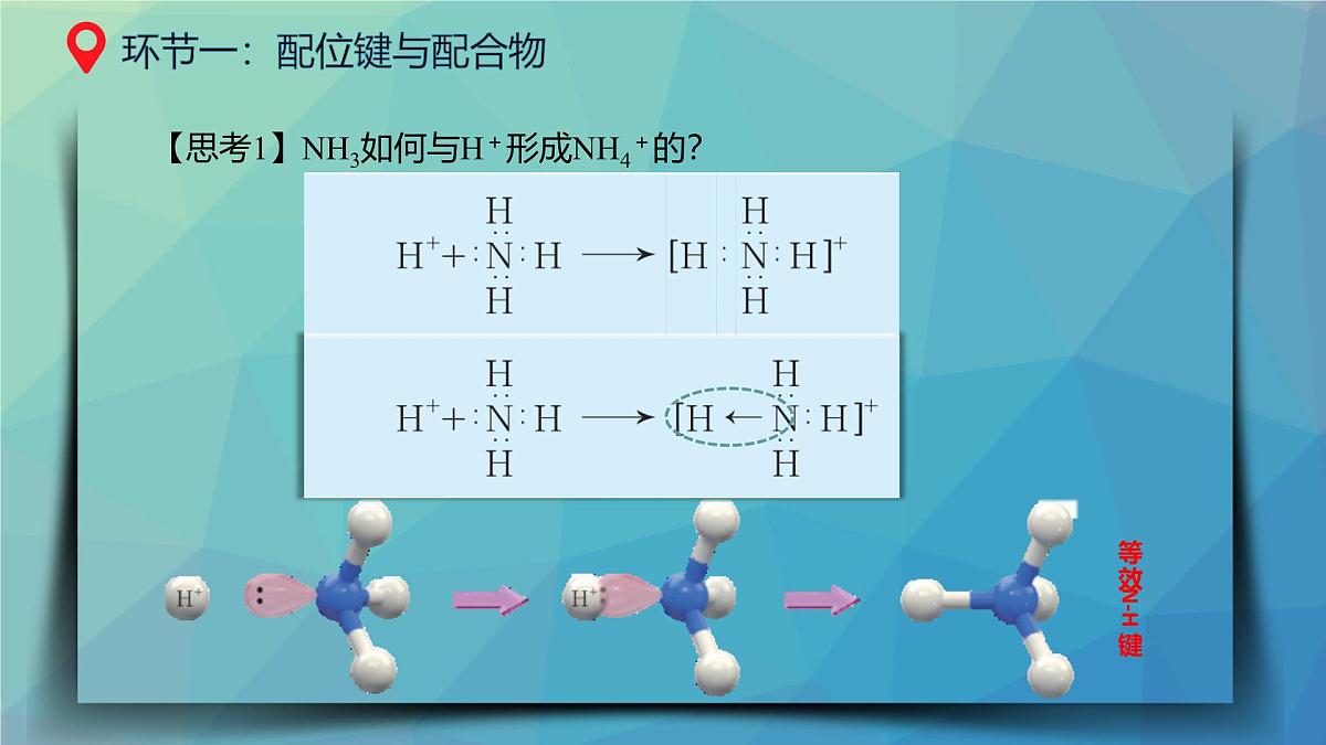 第三章第四节《配合物与超分子》课件 人教版(2019)高中化学选择性必修二第4页
