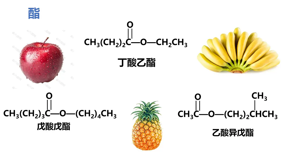 3.4《羧酸 羧酸衍生物》课件 高中化学人教版 (2019) 选择性必修3第4页