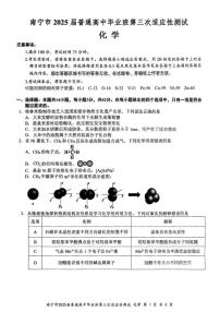 广西南宁市2024-2025学年高三下学期第三次适应性(南宁三模)测试化学试卷