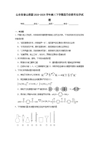山东省泰山联盟2024-2025学年高三下学期四月份联考化学试题（附答案解析）