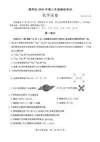 2025届北京市通州区高三一模考试 化学试题及答案