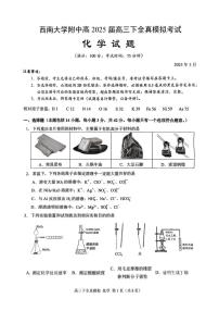 重庆市西南大学附属中学校2025届高三下学期全真模拟考试 化学试题（PDF版，无答案）