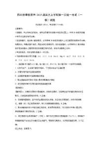 四川省攀枝花市2025届高三上学期第一次统一考试（一模）化学试卷（解析版）