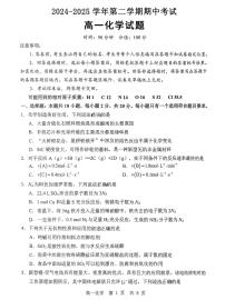 山东省聊城第一中学2024-2025学年高一下学期期中考试 化学试题 含答案