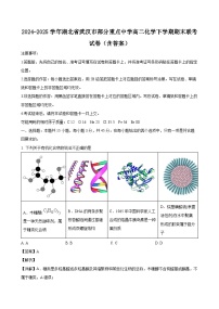 2024-2025学年湖北省武汉市部分重点中学高二化学下学期期末联考试卷（附答案）