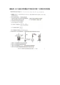 湖南省2025届高考普通高中名校联考第一次模拟考试(扫描版)化学试题