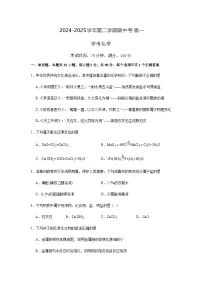 湛江市第二十一中学2024-2025学年高一下学期期中考试化学(学考)试卷含答案