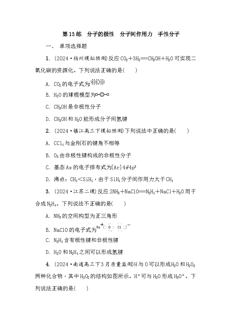 第13练 分子的极性 分子间作用力 手性分子 课时作业(含答案)2026届高三化学一轮总复习第1页