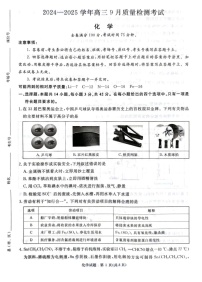 2025届河南省河南青桐鸣高三9月质量检测考-化学试卷(含答案)