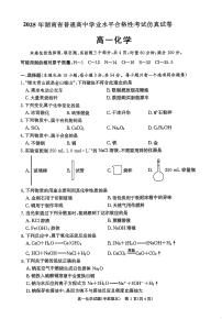2025年湖南省普通高中学业水平合格性考试模拟试卷化学试题（高考模拟）