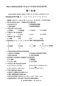 2025年湖南省普通高中学业水平合格性考试模拟试卷化学试题(高考模拟)