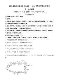 湖北省随州市部分高中2024-2025学年高一下学期3月联考 化学试题(原卷版+解析版)