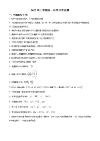 湖南省岳阳市岳阳县第一中学2024-2025学年高一下学期3月月考 化学试题（原卷版+解析版）