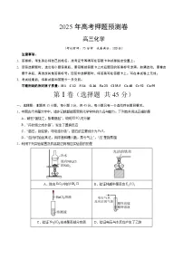 2025年高考押题预测卷：化学（四川卷02）（考试版）