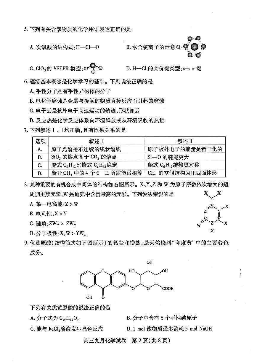 2024-2025学年度武汉市部分学校高三年级九月调研考试 化学试卷(含答案)第2页