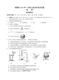 浙江省诸暨市2025届高三下学期5月适应性考试化学试卷（PDF版附答案）