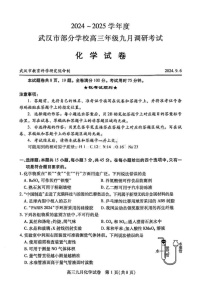 2025届湖北省武汉市高三九月调研考-化学试题(含答案)